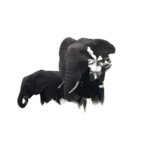 animal, creature, staff, furniture, 3d render, concept art, photorealistic, pixel art transparent PNG cut-out