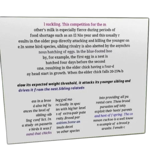 food, text-based, image, discussing, sibling, rivalry, bird, species transparent PNG cut-out