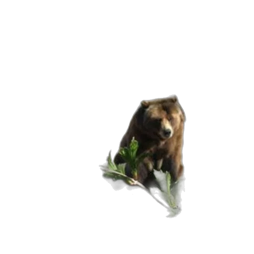 animal, creature, staff, food, 3d render, concept art, photorealistic, pixel art transparent PNG cut-out
