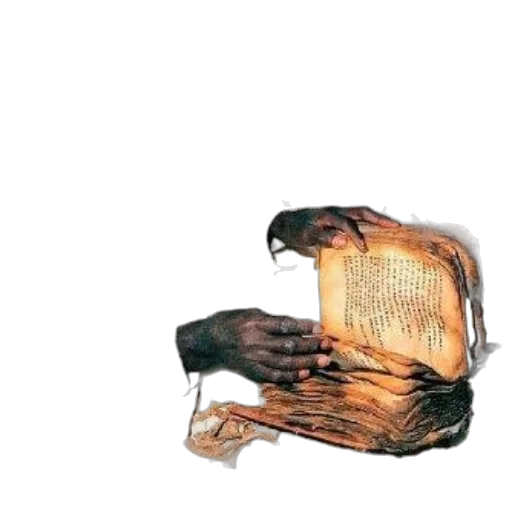 mask, shoes, weapon, furniture, concept art, watercolor, photorealistic, 3d render transparent PNG cut-out