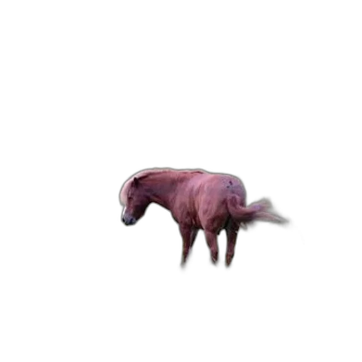 animal, creature, dragon, hat, 3d render, photorealistic, concept art, pixel art transparent PNG cut-out