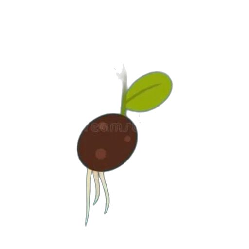 food, hair, staff, flower, 3d render, photorealistic, concept art, pixel art transparent PNG cut-out