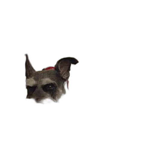 animal, creature, dragon, staff, pixel art, 3d render, photorealistic, concept art transparent PNG cut-out