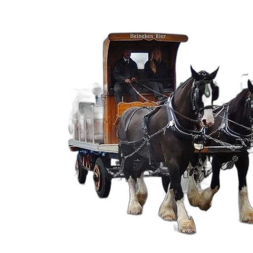 car, 3d render, photorealistic, concept art, horse-drawn, carriage, passengers, passing transparent PNG cut-out