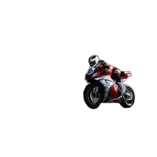 animal, pixel art, 3d render, photorealistic, concept art, motorcycle, racer, leans transparent PNG cut-out