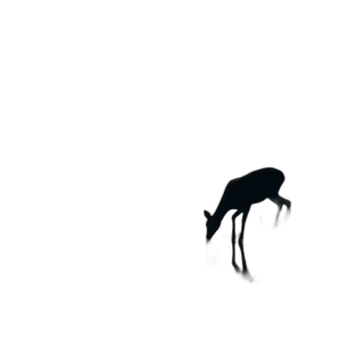 animal, creature, umbrella, dragon, concept art, pixel art, 3d render, fantasy art transparent PNG cut-out