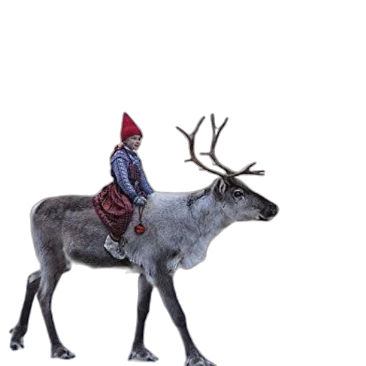 animal, hat, creature, concept art, 3d render, photorealistic, whimsical, book transparent PNG cut-out