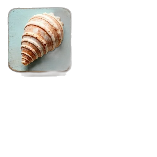 food, animal, hair, jewelry transparent PNG cut-out