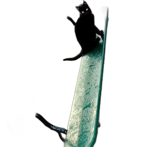staff, sword, animal, weapon, concept art, photorealistic, 3d render, fantasy art transparent PNG cut-out