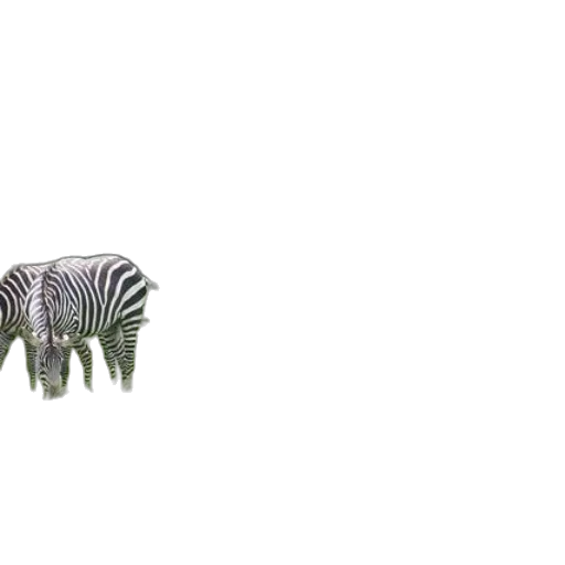 animal, creature, furniture, hair, 3d render, concept art, photorealistic, pixel art transparent PNG cut-out