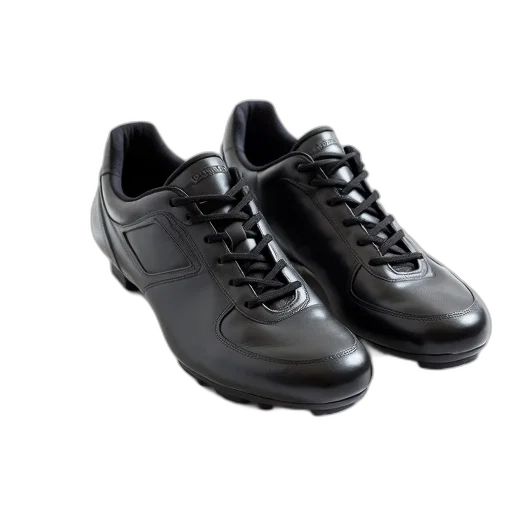 shoes, pair, black, silver, cycling, laces, displayed, white transparent PNG cut-out