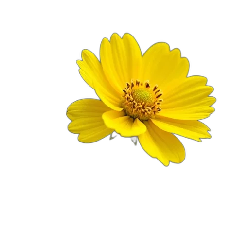 flower, crown, jewelry, staff, photorealistic, 3d render, pixel art, oil painting transparent PNG cut-out