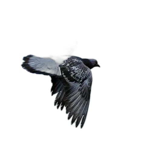 animal, creature, staff, hair, photorealistic, 3d render, concept art, bird transparent PNG cut-out