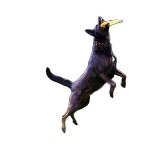 animal, creature, dragon, staff, 3d render, concept art, photorealistic, pixel art transparent PNG cut-out