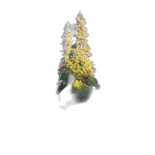 flower, tree, crown, staff, 3d render, photorealistic, concept art, pixel art transparent PNG cut-out