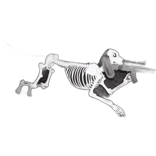 animal, robot, weapon, creature, concept art, cartoon, 3d render, pencil sketch transparent PNG cut-out