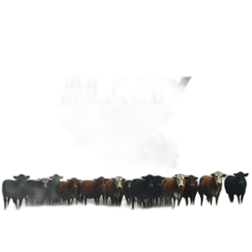 animal, staff, weapon, furniture, 3d render, concept art, photorealistic, pixel art transparent PNG cut-out