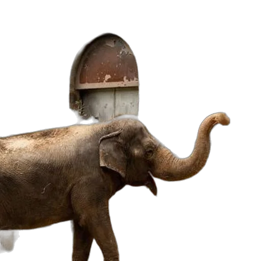 animal, robot, hat, creature, 3d render, concept art, photorealistic, elephant transparent PNG cut-out