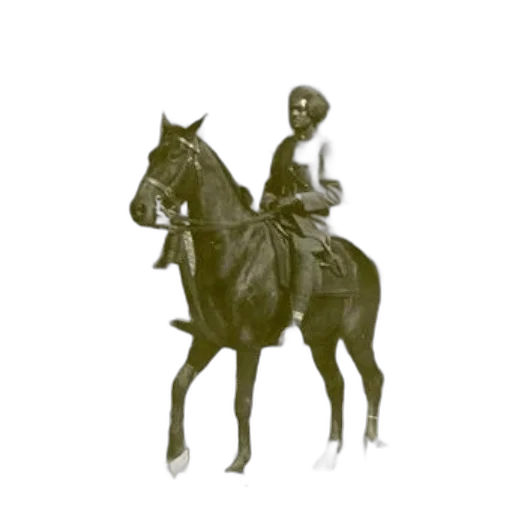 animal, hat, staff, mask, concept art, pixel art, photorealistic, 3d render transparent PNG cut-out