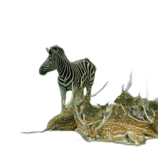dragon, animal, creature, jewelry transparent PNG cut-out
