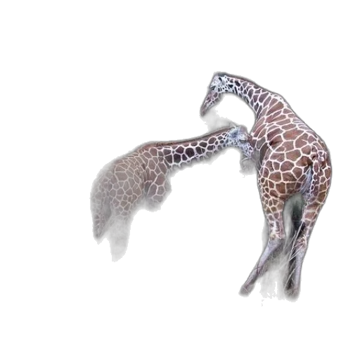 animal, jewelry, creature, dragon, 3d render, concept art, photorealistic, fantasy art transparent PNG cut-out