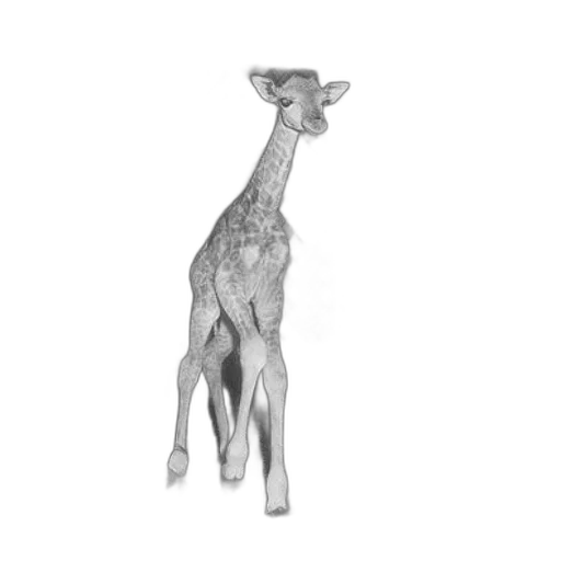 animal, creature, staff, jewelry, 3d render, photorealistic, concept art, pencil sketch transparent PNG cut-out