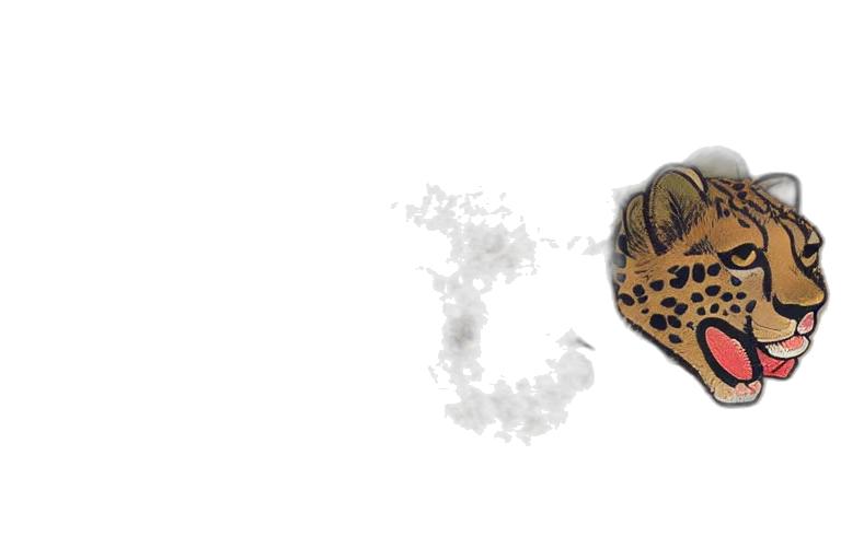 crown, jewelry, mask, shoes transparent PNG cut-out