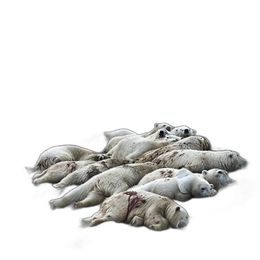 animal, furniture, shoes, staff, photorealistic, group, polar, bears transparent PNG cut-out