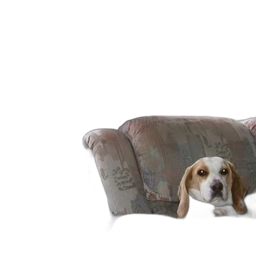 furniture, animal, creature, 3d render, photorealistic, dog, sits, patterned transparent PNG cut-out