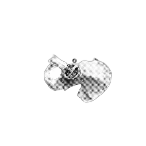 jewelry, flower, crown, weapon, 3d render, photorealistic, medical, diagram transparent PNG cut-out