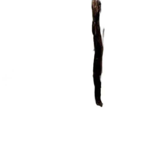 hair, staff, sword, weapon, photorealistic, 3d render, concept art, pixel art transparent PNG cut-out