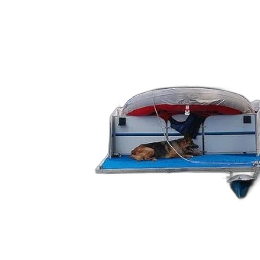 hat, car, umbrella, furniture, 3d render, dog, rests, back transparent PNG cut-out