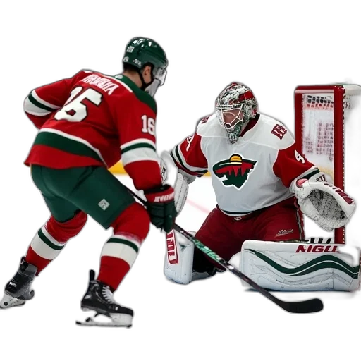minnesota, wild, goalie, jordan transparent PNG cut-out