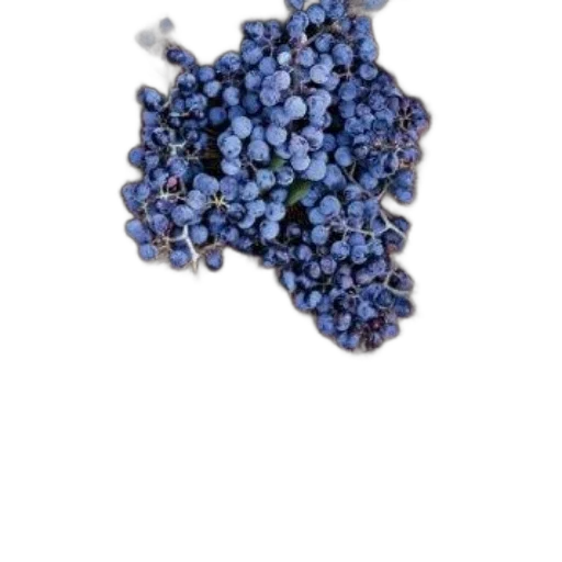 food, crown, jewelry, flower, pixel art, photorealistic, 3d render, blue transparent PNG cut-out