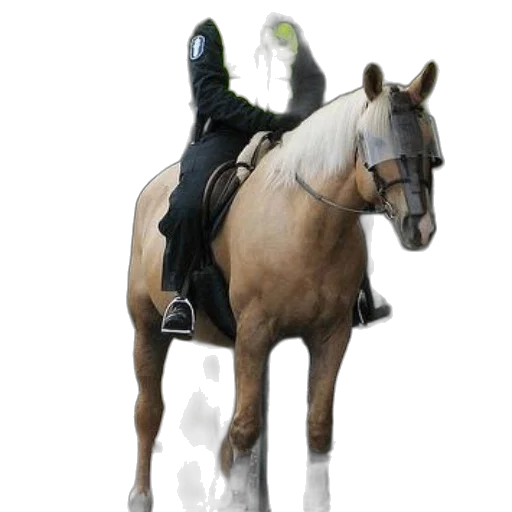 staff, animal, sword, weapon, concept art, fantasy art, pixel art, photorealistic transparent PNG cut-out
