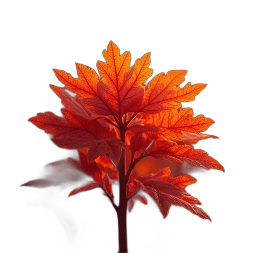 flower, crown, tree, staff, 3d render, photorealistic, concept art, oil painting transparent PNG cut-out