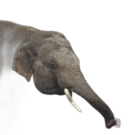 animal, creature, staff, weapon, photorealistic, concept art, 3d render, majestic transparent PNG cut-out