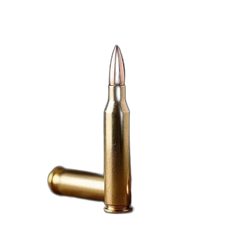 weapon, crown, jewelry, 3d render, nosler, accutoond, bore, bullets transparent PNG cut-out