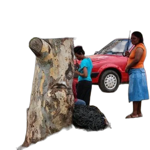 tree, car, hair, dress, photorealistic, 3d render, concept art, forest transparent PNG cut-out