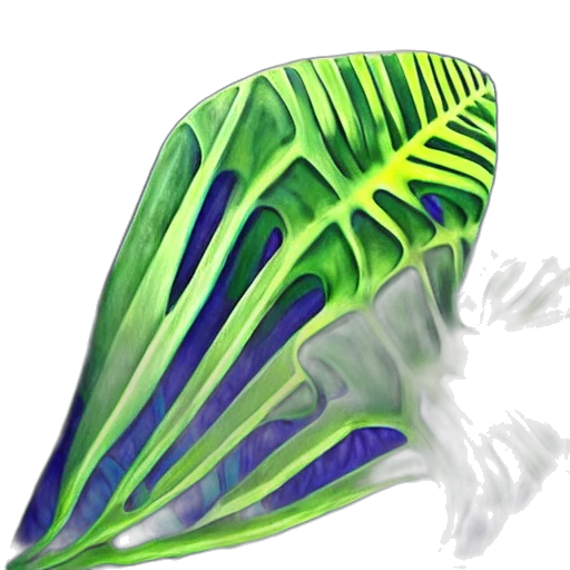 umbrella, hat, crown, flower transparent PNG cut-out