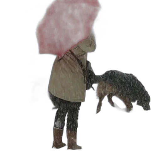 umbrella, animal, hat, creature, concept art, photorealistic, 3d render, watercolor transparent PNG cut-out