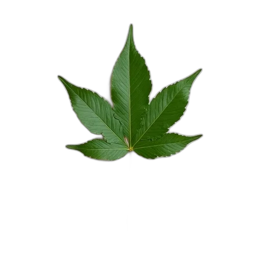 tree, crown, flower, weapon, photorealistic, 3d render, pixel art, green transparent PNG cut-out