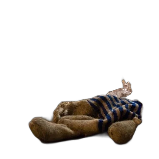 furniture, shoes, creature, animal transparent PNG cut-out