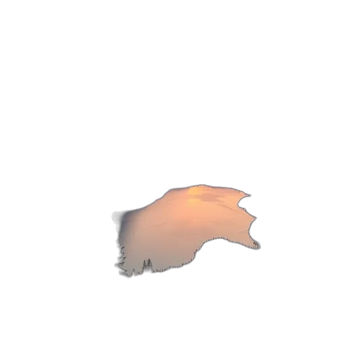 hair, animal, creature, face, 3d render, pixel art, concept art, watercolor transparent PNG cut-out