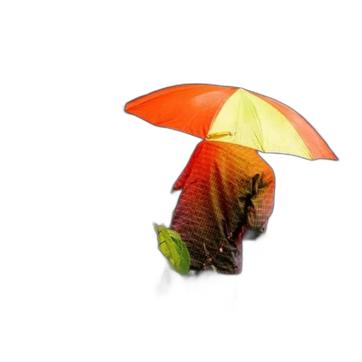 umbrella, hat, flower, staff, 3d render, photorealistic, concept art, oil painting transparent PNG cut-out
