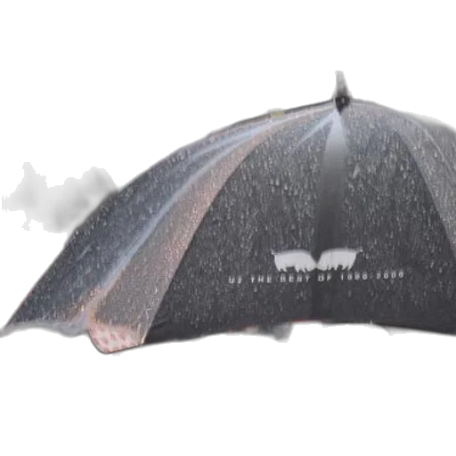 umbrella, hat, crown, weapon, 3d render, concept art, crowd, people transparent PNG cut-out