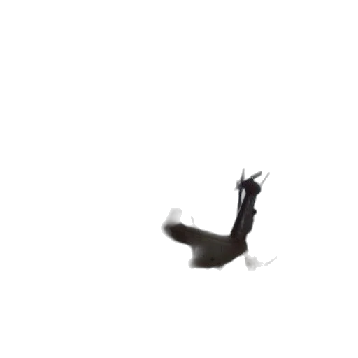 dragon, animal, creature, hair, 3d render, concept art, photorealistic, fog transparent PNG cut-out