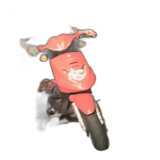 weapon, jacket, animal, car transparent PNG cut-out