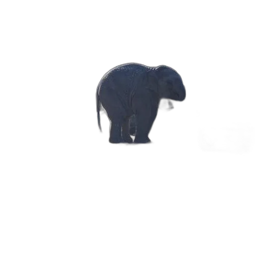 animal, creature, hat, umbrella transparent PNG cut-out