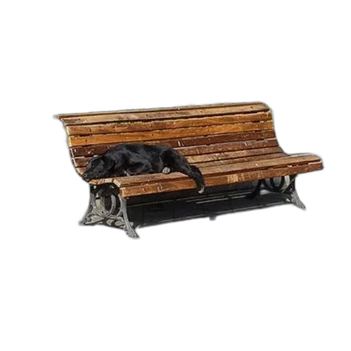 furniture, animal, car, photorealistic, black, dog, sleeps, wooden transparent PNG cut-out